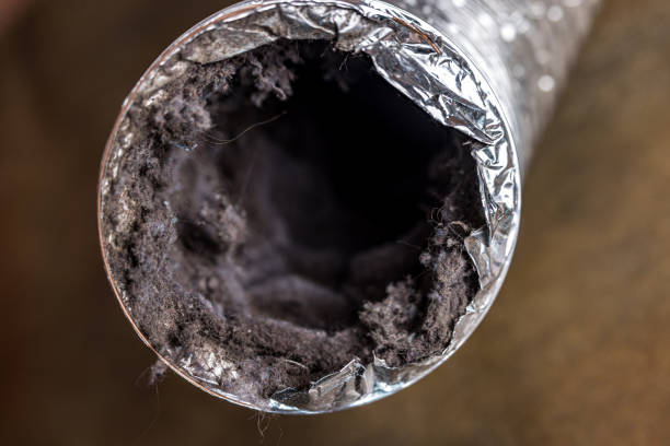 Best Dryer Vent Cleaning Services  in Seven Fields, PA